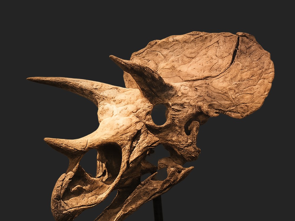 Dinosaurs